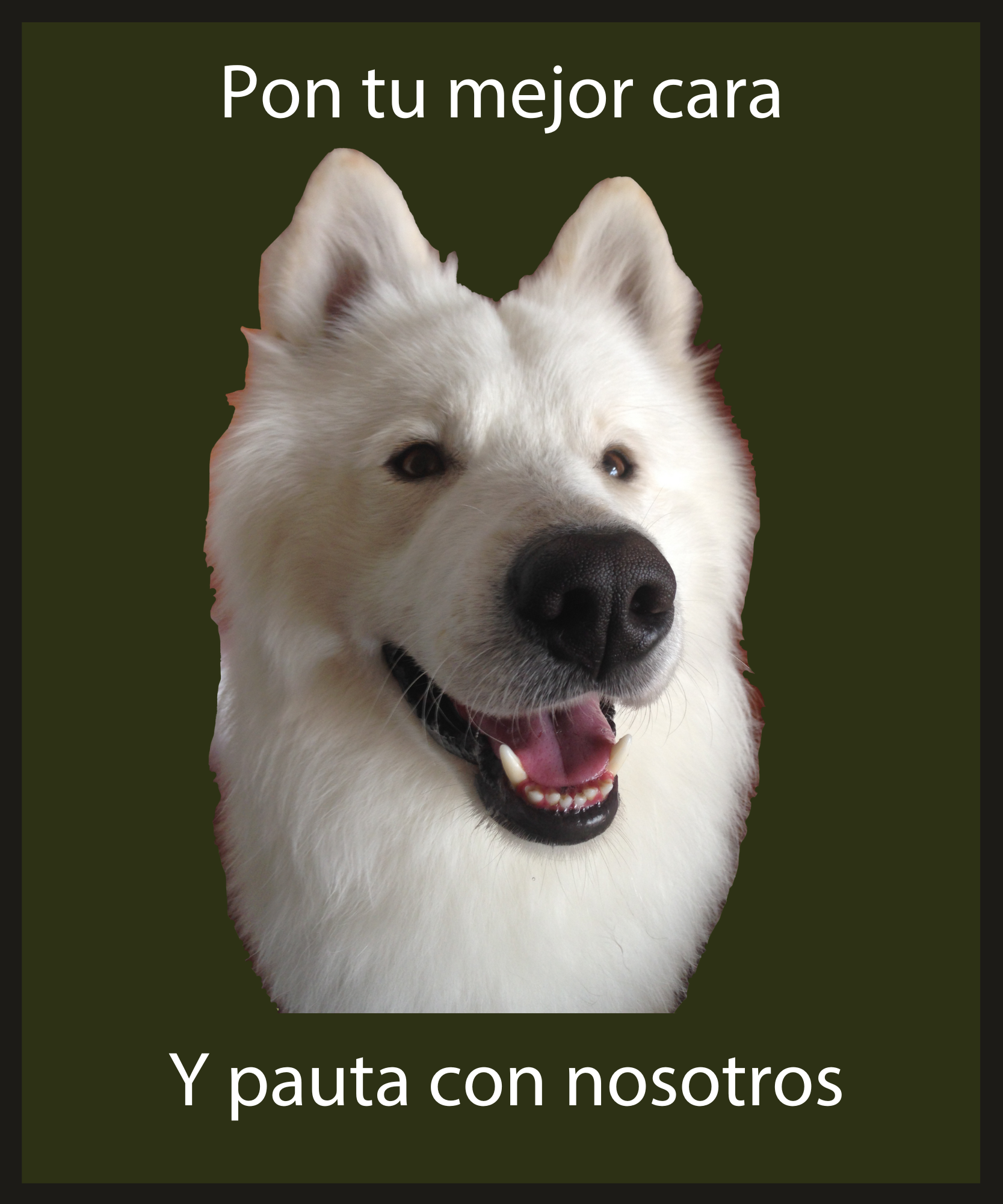 Paute aquí